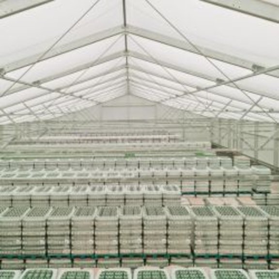 Storage tent for beverage wholesalers Interior view