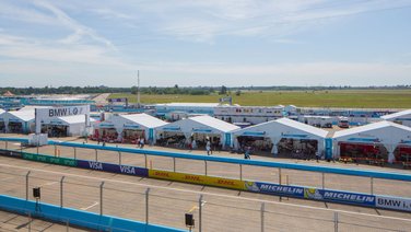 View of the paddock