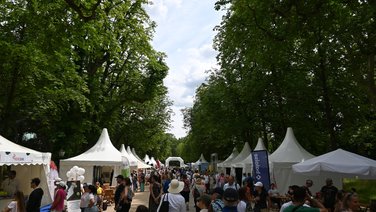 View street Park village during bad homburg open
