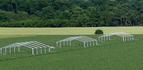 Röder Agricultural Halls Three tent structures from RÖDER in a maize field at the Thünen Institute in Braunschweig