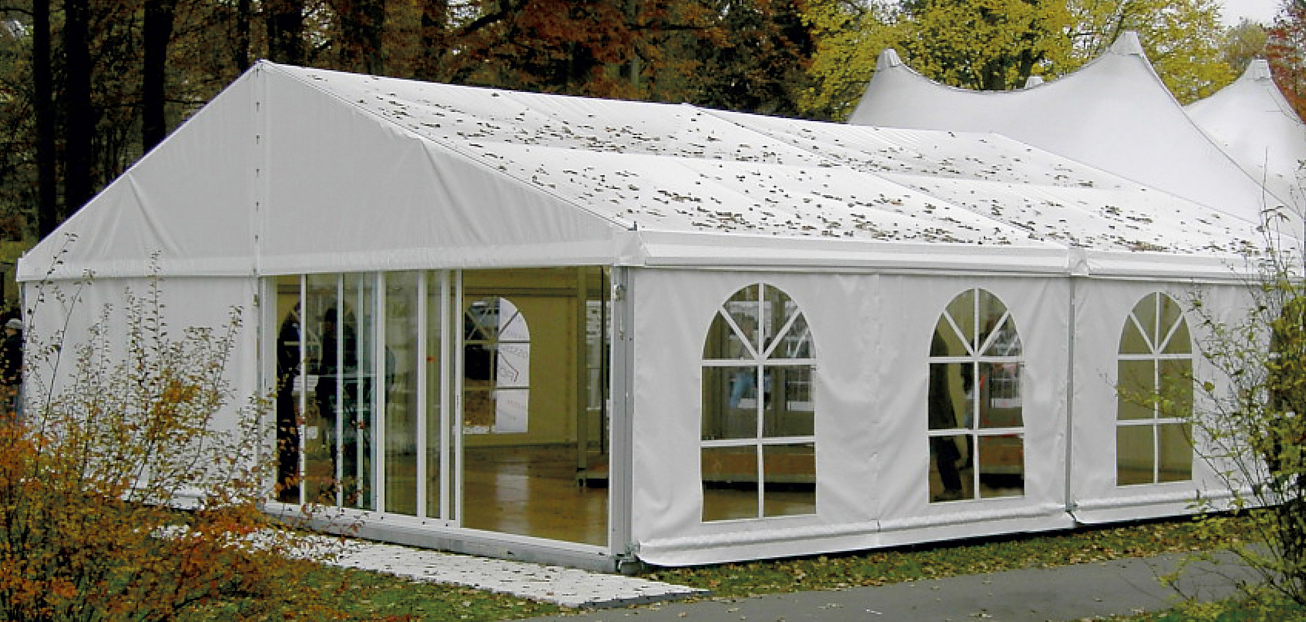 Party Marquee Holiday